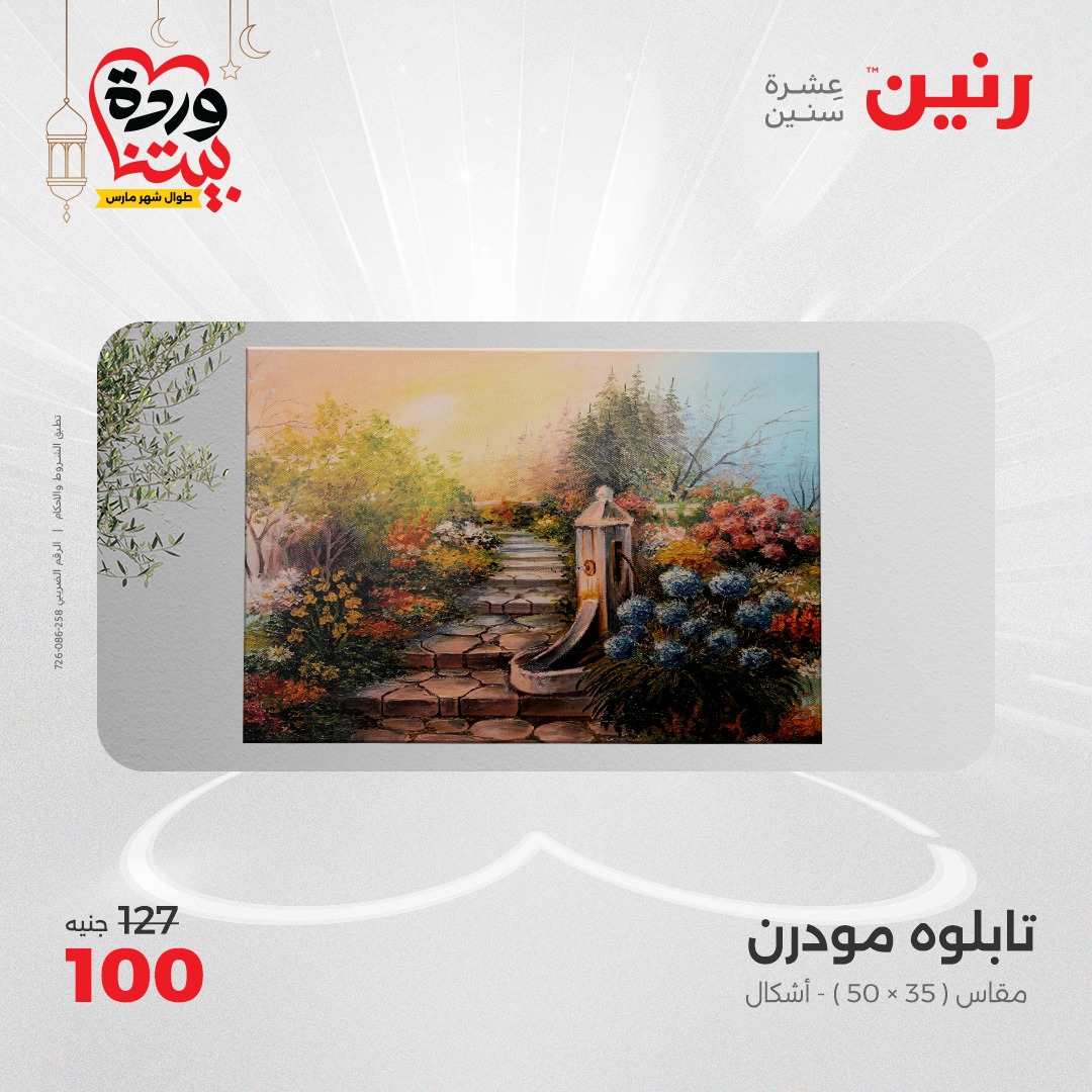 raneen offers from 2mar to 3mar 2025 عروض رنين من 2 مارس حتى 3 مارس 2025 صفحة رقم 12